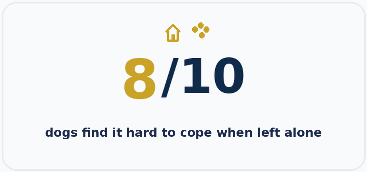 8 out of 10 dogs find it hard to cope when left alone
